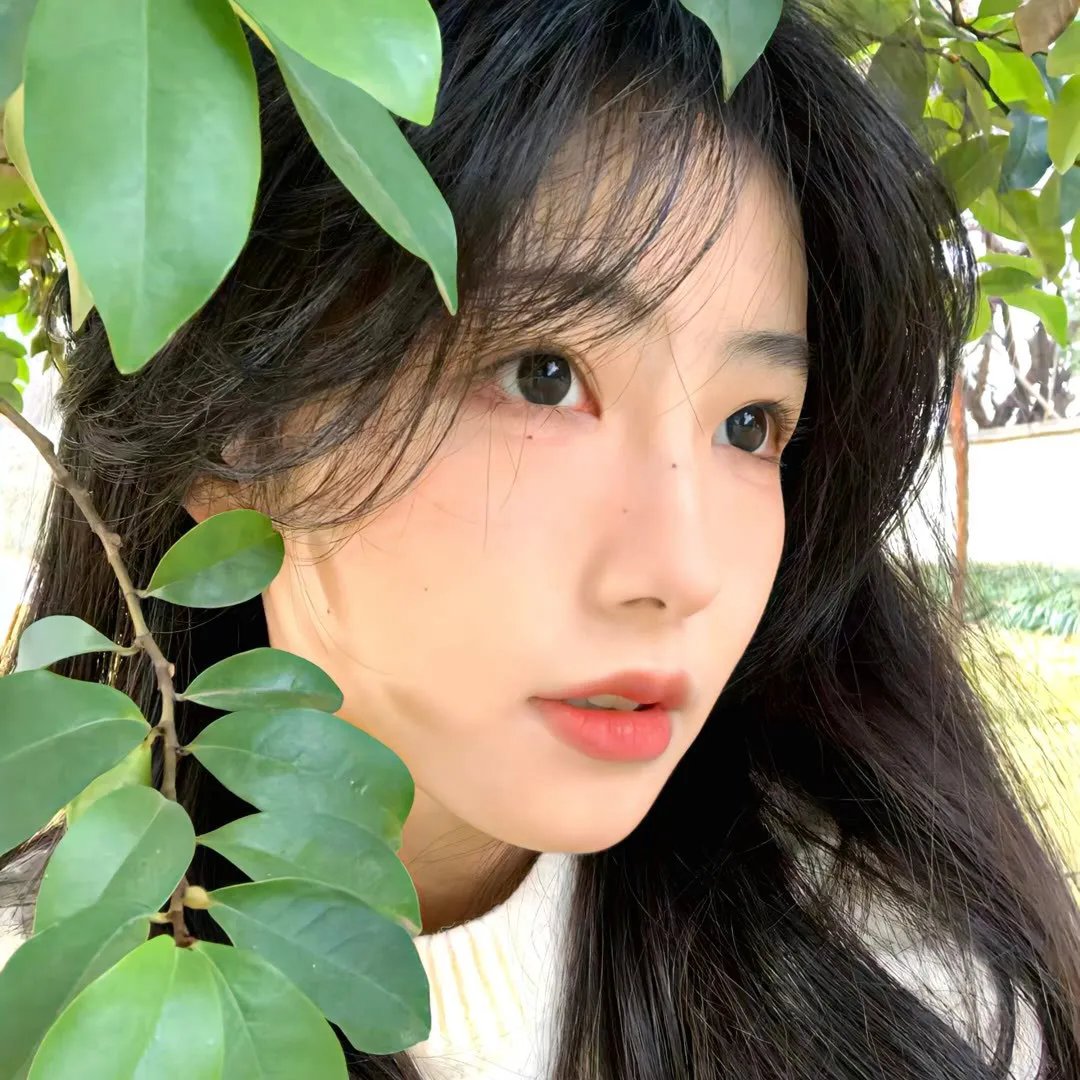 我爱嘉宝
